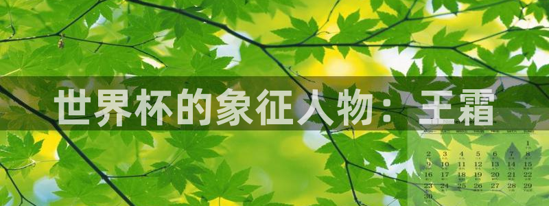 2026世界杯：世界杯的象征人物：王霜