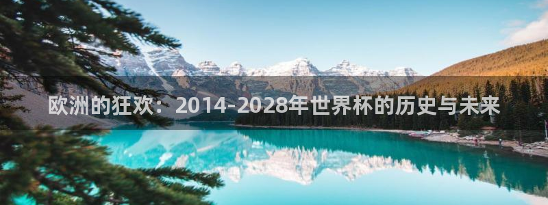 世界杯附加赛赛程表：欧洲的狂欢：2014-2028年世界杯的历史与未来
