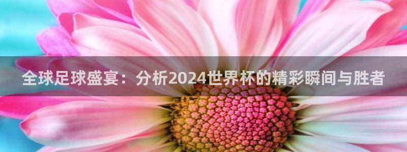 2026足球世界杯赛程：全球足球盛宴：分析2024世界杯的精彩瞬间与胜者