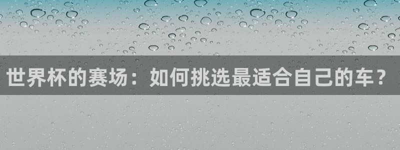 世界杯 直播：世界杯的赛场：如何挑选最适合自己的车？