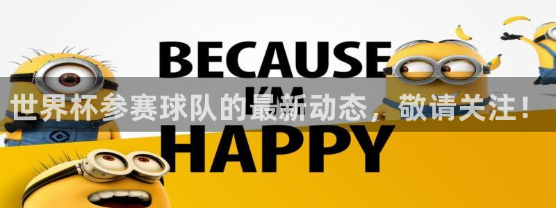 世界杯欧洲预选赛：世界杯参赛球队的最新动态，敬请关注！