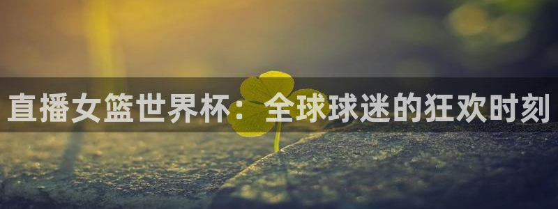 世界杯官网：直播女篮世界杯：全球球迷的狂欢时刻