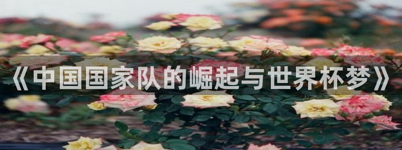 今年的世界杯：《中国国家队的崛起与世界杯梦》