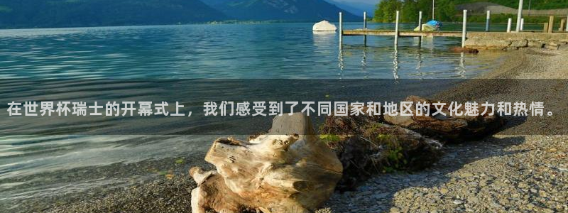 2026世界杯赛程表完整版：在世界杯瑞士的开幕式上，我们感受到了不同国家和地区的文化魅力和热情。