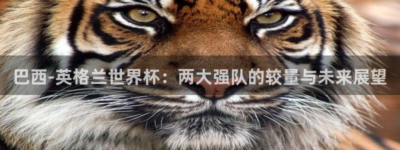 联赛杯直播：巴西-英格兰世界杯：两大强队的较量与未来展望