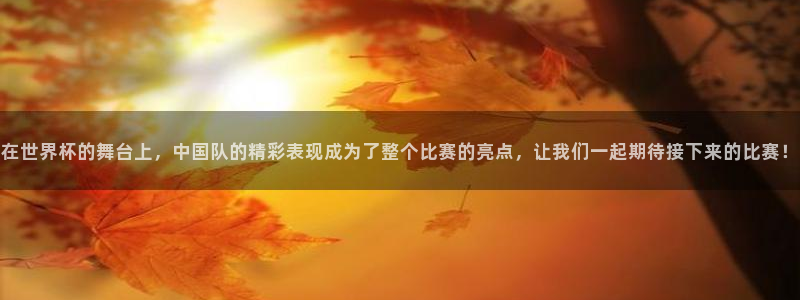 2026世界杯赛程时间表最新：在世界杯的舞台上，中国队的精彩表现成为了整个比赛的亮点，让我们一起期待接下来的比赛！