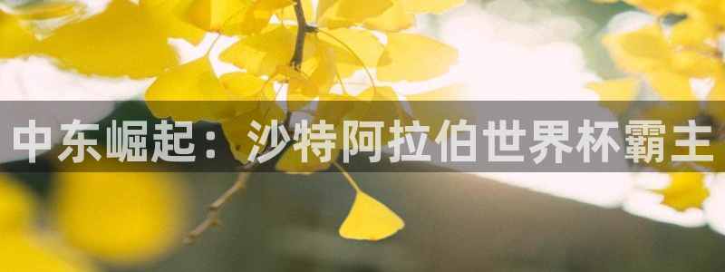 世界杯2026预选赛：中东崛起：沙特阿拉伯世界杯霸主
